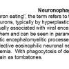 0A Neuronophagia - Text