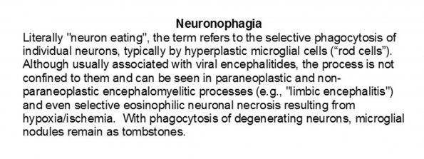 0A Neuronophagia - Text