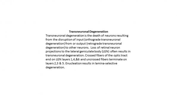 0A Transneuronal Degeneration - Text