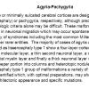 0 Agyria-Pachygyria Text Slide