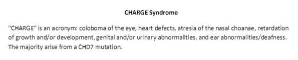 0A  CHARGE Syndrome - Text