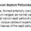 0 Cavum Septi Pellucidi and Cavum Vergae Text