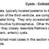 0A Cysts - Colloid A