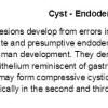 0A Cyst - Endodermal (aka Endodermal, Neurenteric)