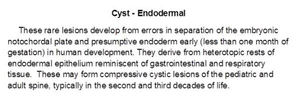 0A Cyst - Endodermal (aka Endodermal, Neurenteric)