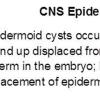 0 Cyst, Epidermoid CNS