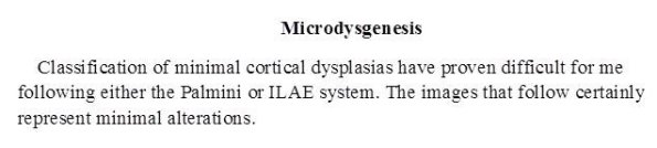 0A Microdysgenesis