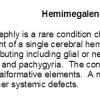 0A Hemimegalencephaly - Text