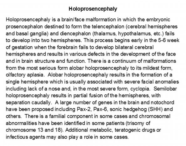 0A Holoprosencephaly Introduction A