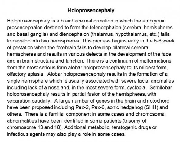 0A Holoprosencephaly Introduction A