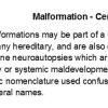 0A Malformation - Cerebellum Text