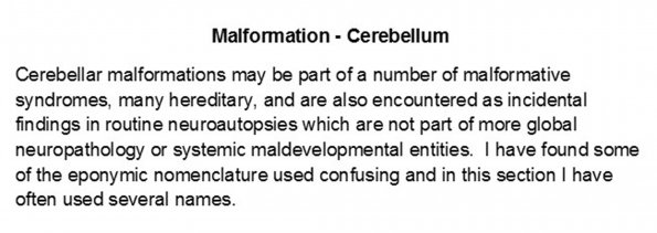 0A Malformation - Cerebellum Text