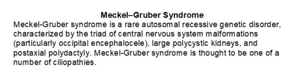 0A Meckel-Gruber Syndrome text