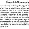 0A Microcephaly-Microencephaly A