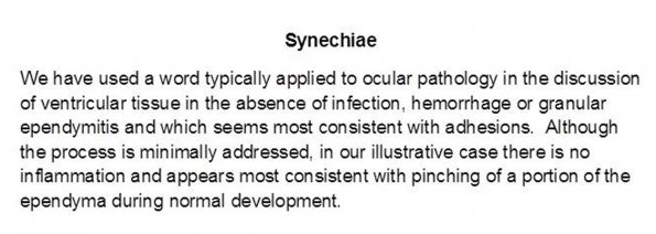 0A Synechiae Text