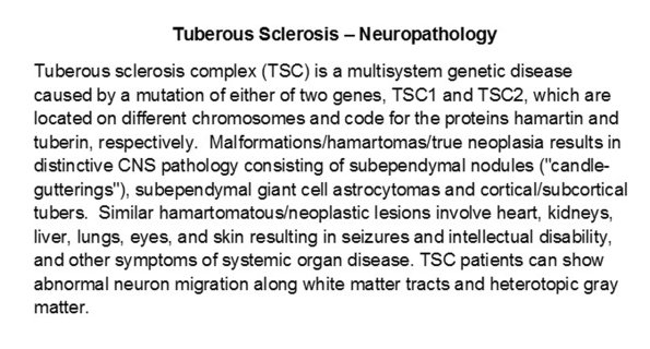 0A Tuberous Sclerosis Text