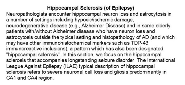 0 Hippocampal Sclerosis - Text A