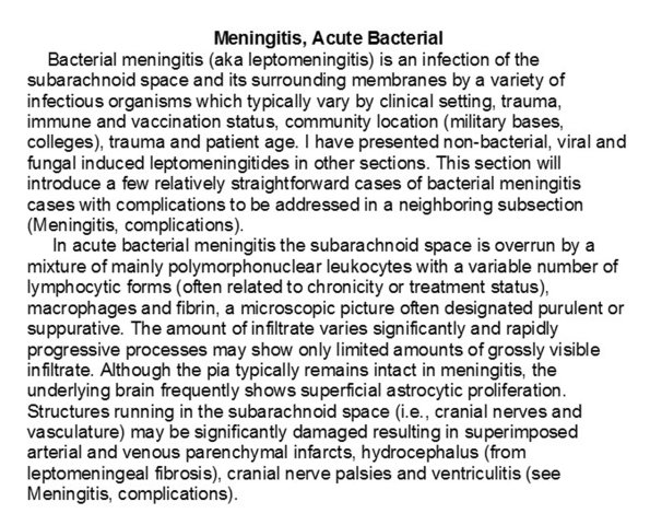 0A Meningitis -Text