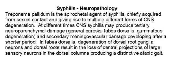 0A Syphilis - Text