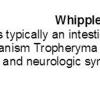 0A Whipple Disease