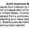 0A Blastomycosis text