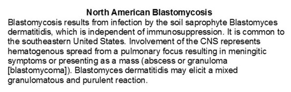 0A Blastomycosis text