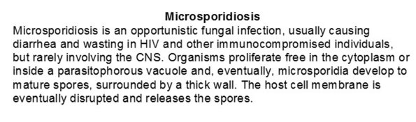 0A Microsporidium.doc