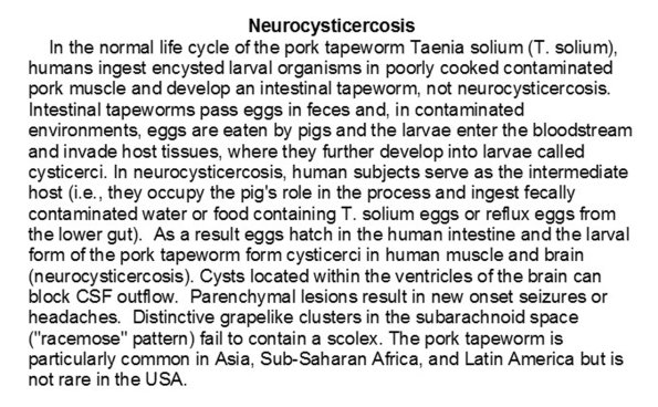 0A Neurocysticercosis.doc