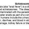 0A Schistosomiasis