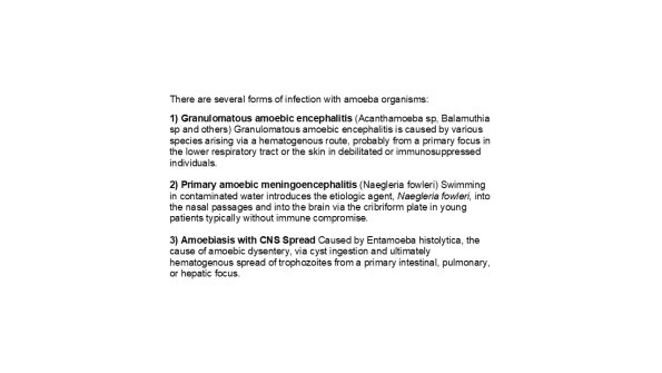 0A Amoebiasis