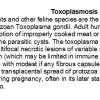 0A Toxoplasmosis Text