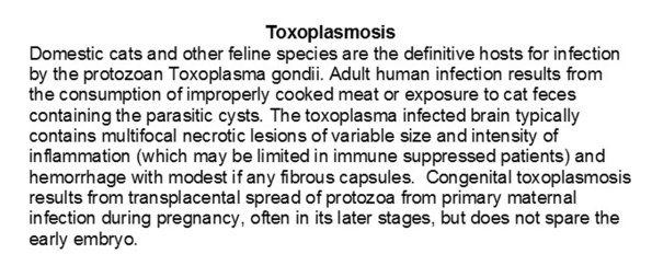 0A Toxoplasmosis Text