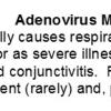 0A Adenovirus Meningoencephalitis - Text