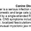 0A Canine Distemper