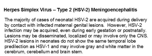 0A HSV-2 Encephalitis Text