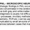 0A PML Microscopic Pathology - Text