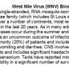 0A - West Nile Virus - Text