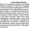 0A Lafora Body Disease - Text