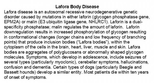 0A Lafora Body Disease - Text