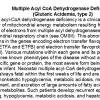 0A Multiple Acyl CoA Dehydrogenase Deficiency - Text