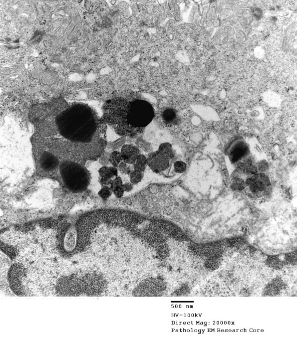 2D5B Kuf's Dz (Case 2) Skin 053 - Copy