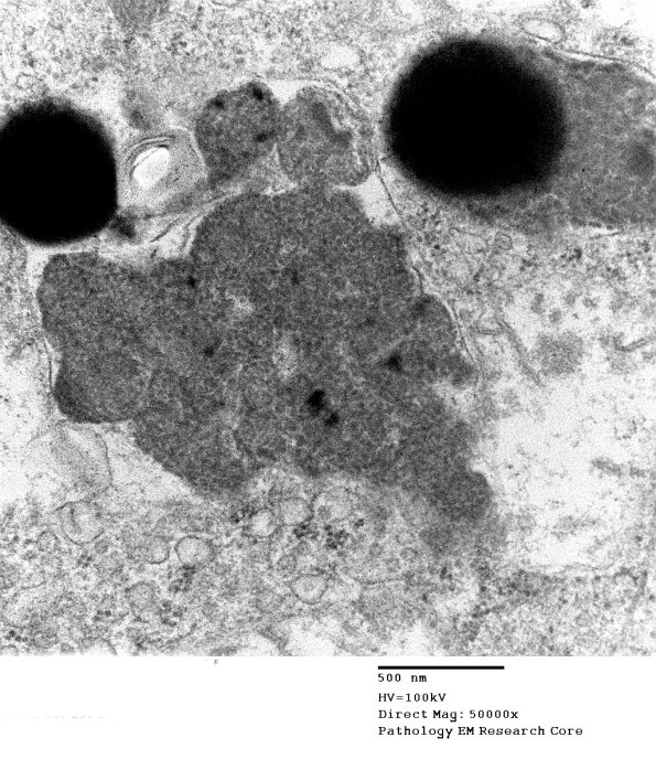 2D6 Kuf's Dz (Case 2) Skin 028 - Copy