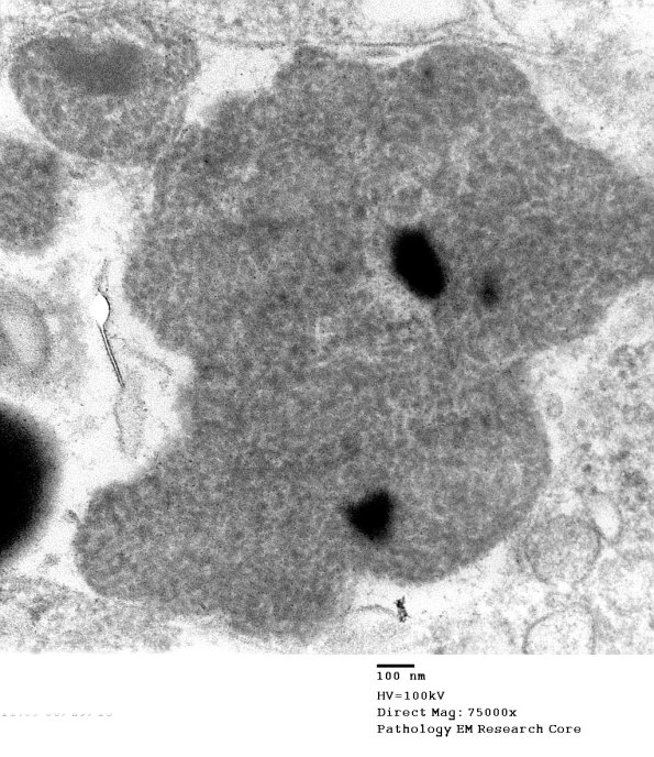 2D7 Kuf's Dz (Case 2) Skin 048 - Copy