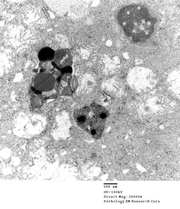 2D8A Kuf's Dz (Case 2) Skin 064 - Copy