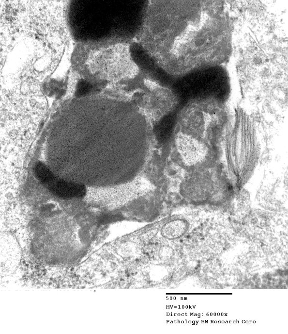 2D8B Kuf's Dz (Case 2) Skin 066 - Copy