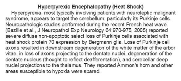 0A Hyperpyrexic Encephalopathy - Text