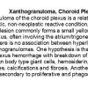 0A Xanthogranuloma, Choroid Plexus