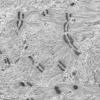 3C1B (Case 3) 009 - Copy