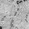 3C1C (Case 3) 010 - Copy