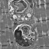 6C4B (Case 6) 027 - Copy